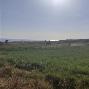 Meet your Posher, Alejandro